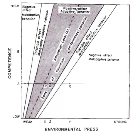 Compentency (Environmental) Press Model